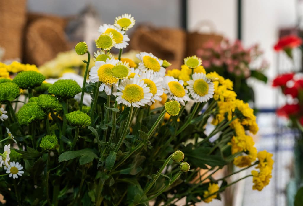 Terra Floristería, más allá de las flores