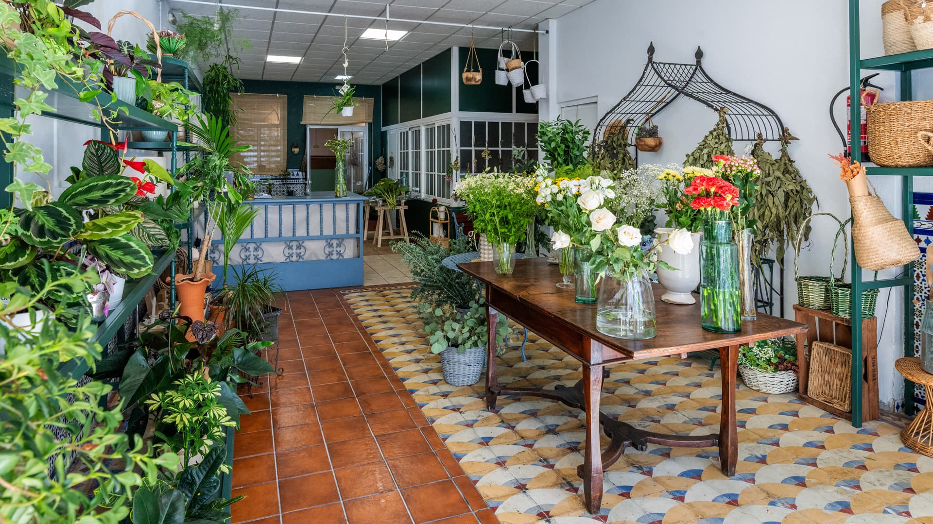 Contactar con Terra Floristería en Ferrol